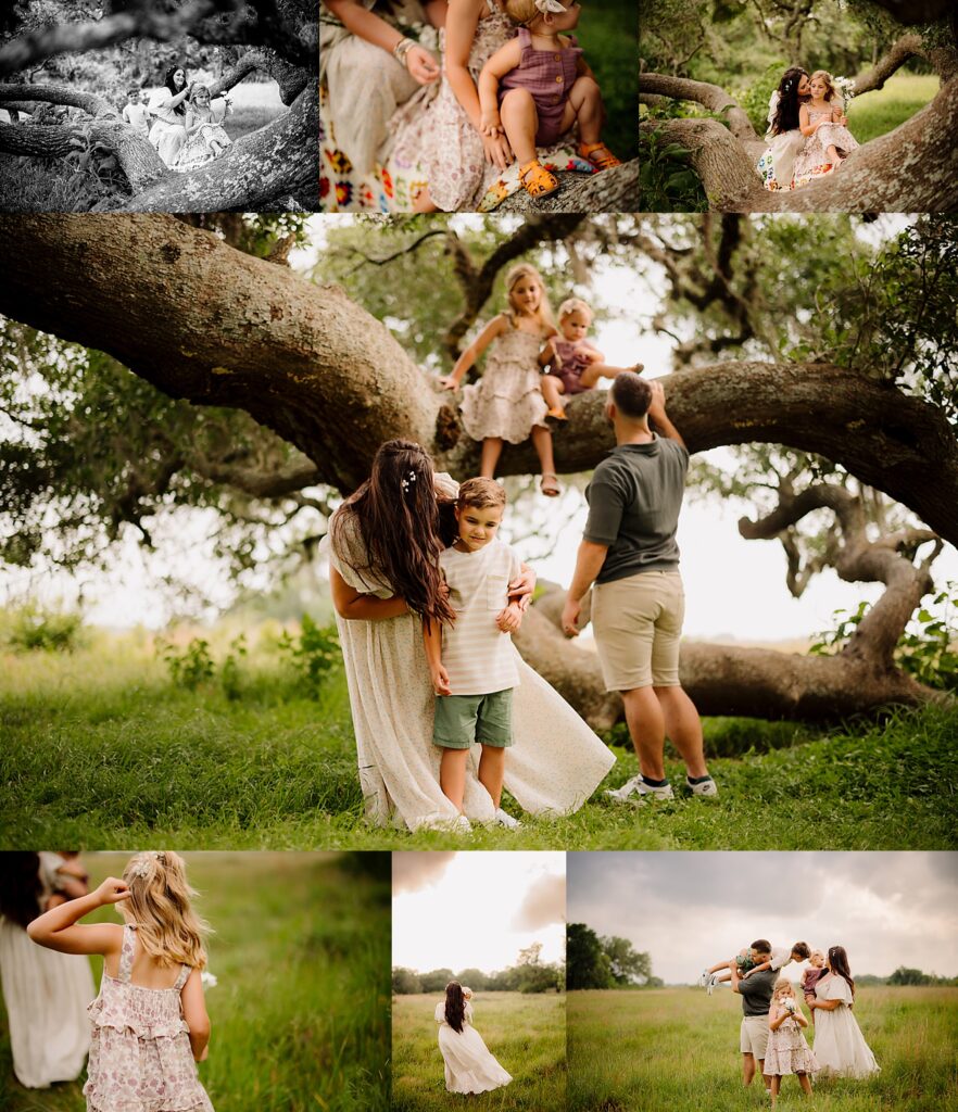 a large family plays on the bent hanging branches of an ancient oak tree