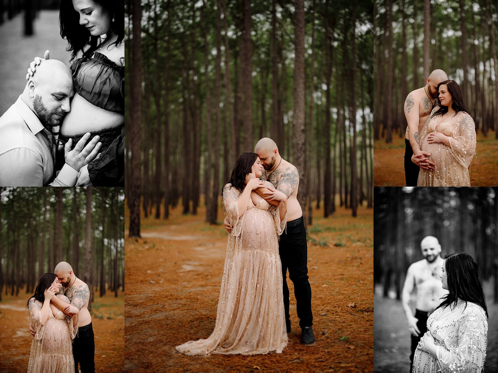 a pregnant couple stand between tower pine trees