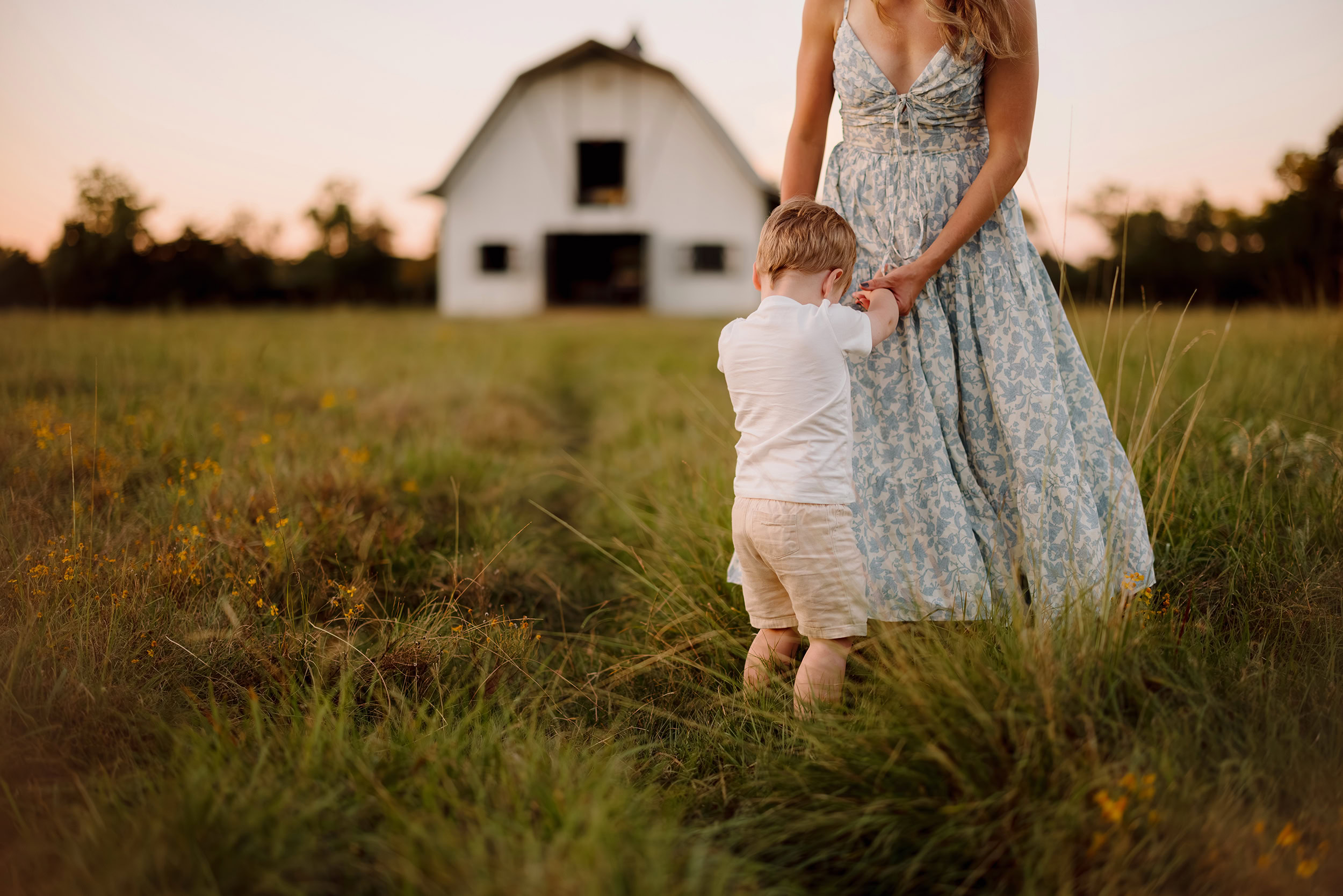 Family holding hands in a grassy field with a barn in the background at sunset.